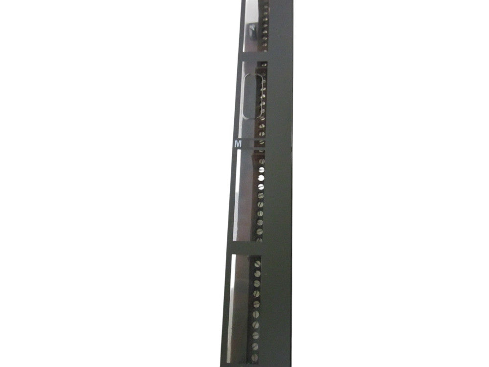 SCHIELE S800 INPUT-MODULE  NSMP