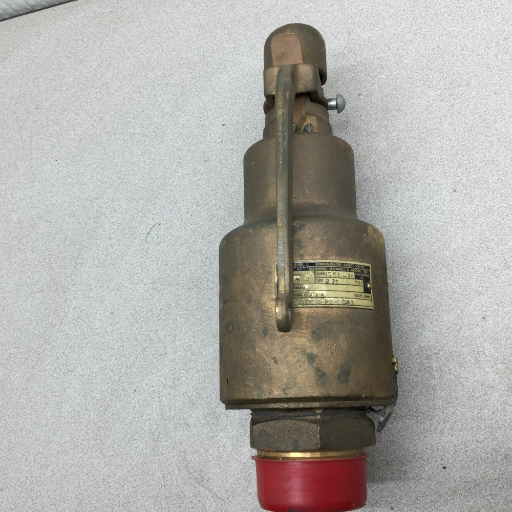 NEW NO BOX CSV 2" 220PSI 2118CU FT MIN TYPE 1551-20 PRESS RELEIF VALVE N220-PS-1