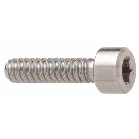 Ampg Zss61614c14 1/4"-20 Socket Head Cap Screw, Socket, Plain 316 Stainless