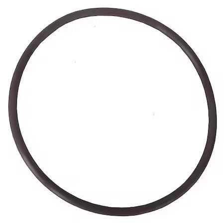 Dayton Pptlsp008g O-Ring,Nbr, Pptlsp008g
