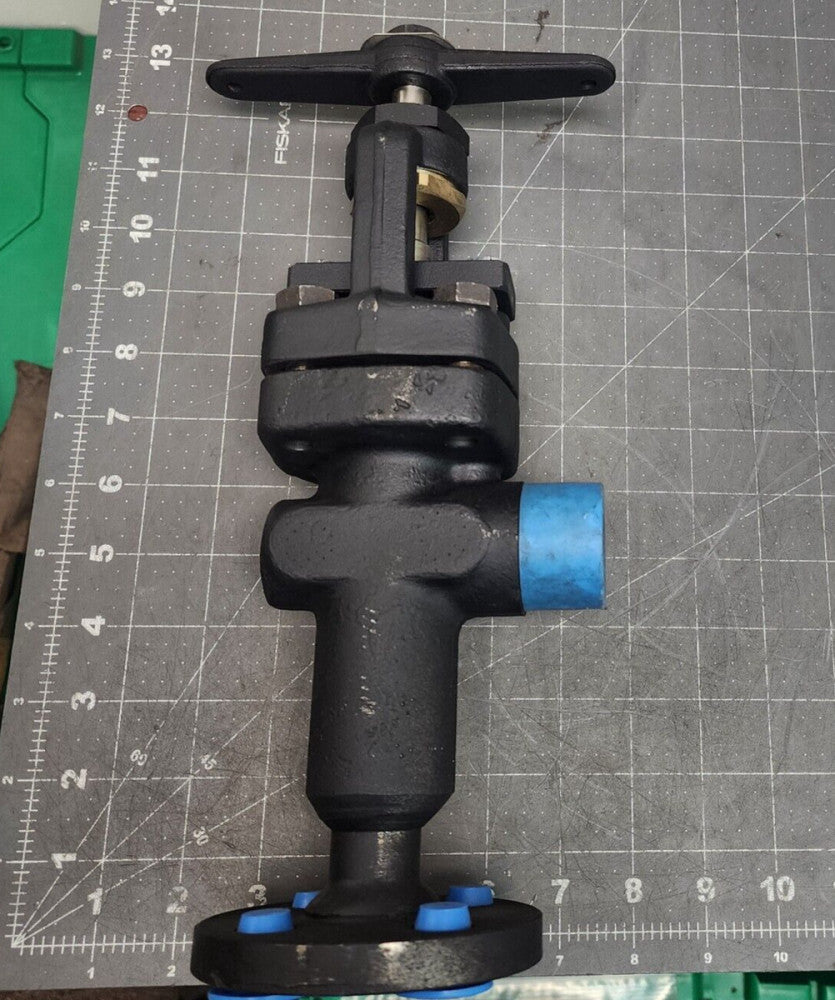 JERGUSON #74 ¾” X ¾” Flanged GAGE Ball check Valve 4000PSI @100˚ [D3S4]