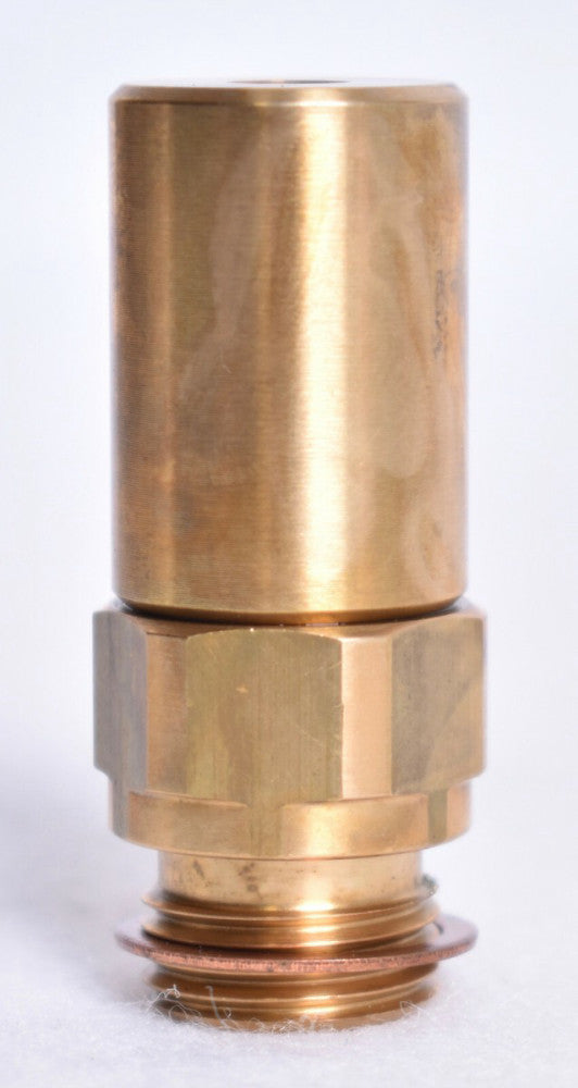 Pulsafeeder Relief Valve  W208190-000