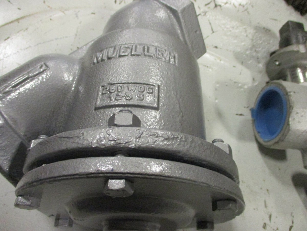 Mueller Wye Strainer 2-1/2" 250 SWP 400 WOG Threaded .062 Perforation SS Screen