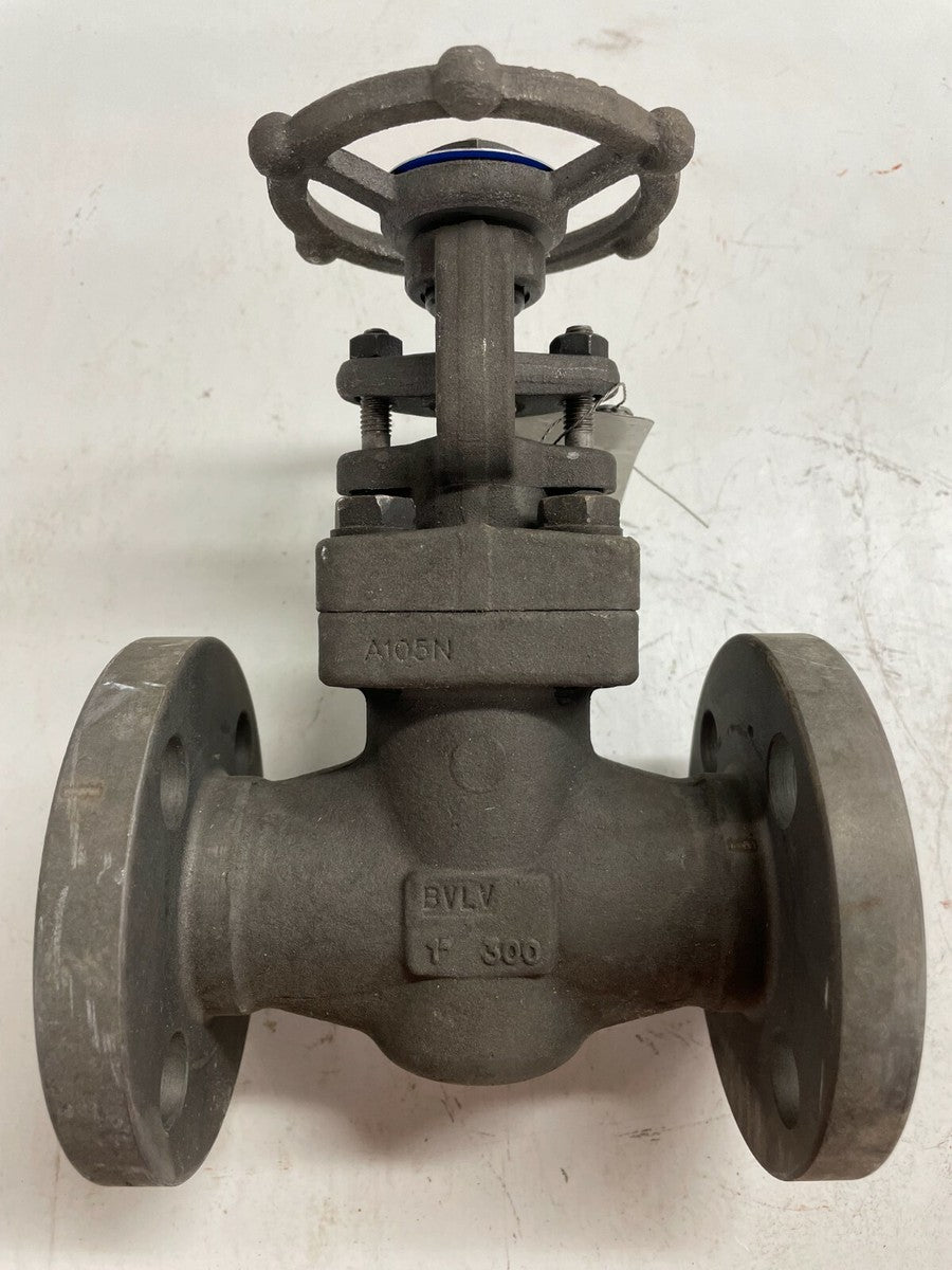 DSI Gate Valve 3/4" Class 150 RF Flanged A105N Forged Steel Trim #8 LOW-E Pkg