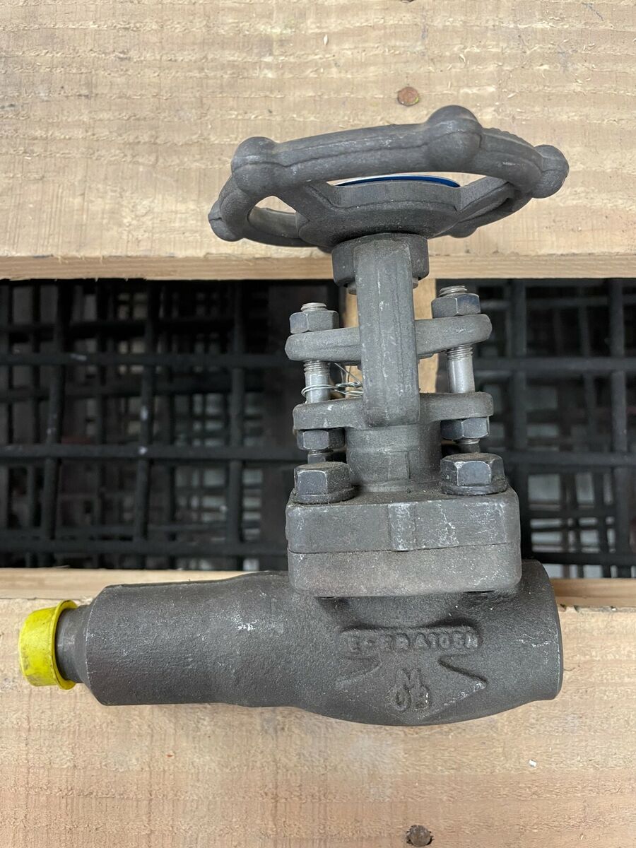 OMB MB-810 Gate Valve 1/2" CL800 FNPT x Male Socket Insert A105N Forged Steel