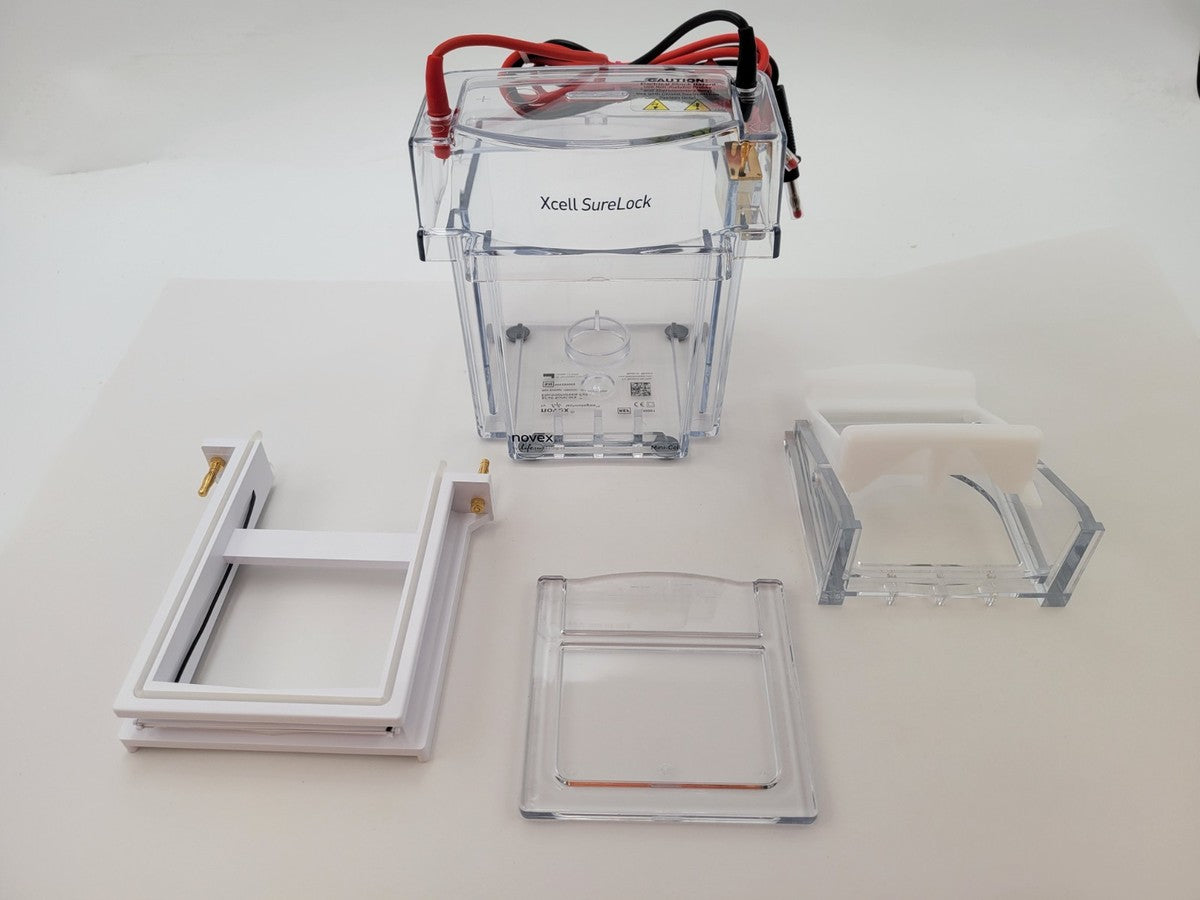 Invitrogen EI0001 XCell SureLock Mini Cell Electrophoresis System 1500 ...