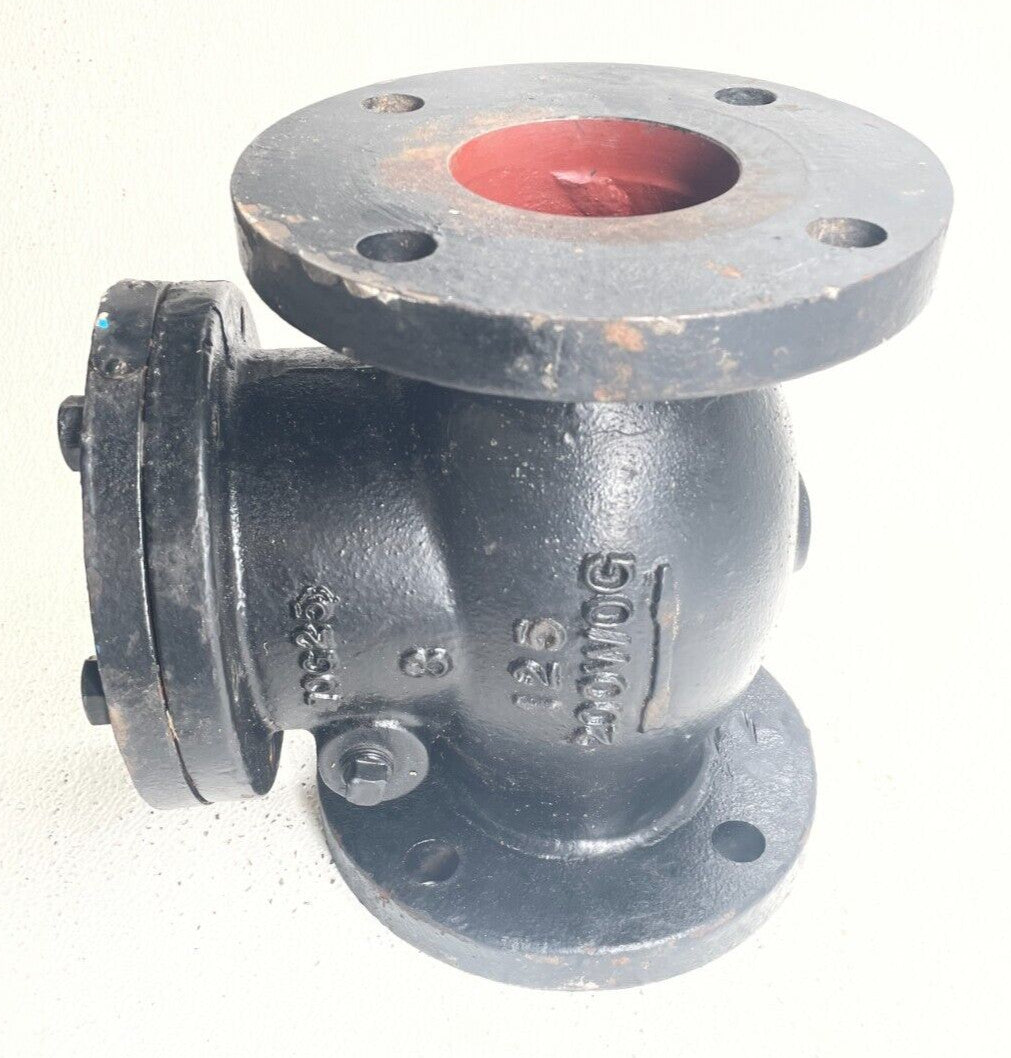 FNW Swing Check Valve 3" Flanged End Cast Iron 125-WSP / 200-WOG