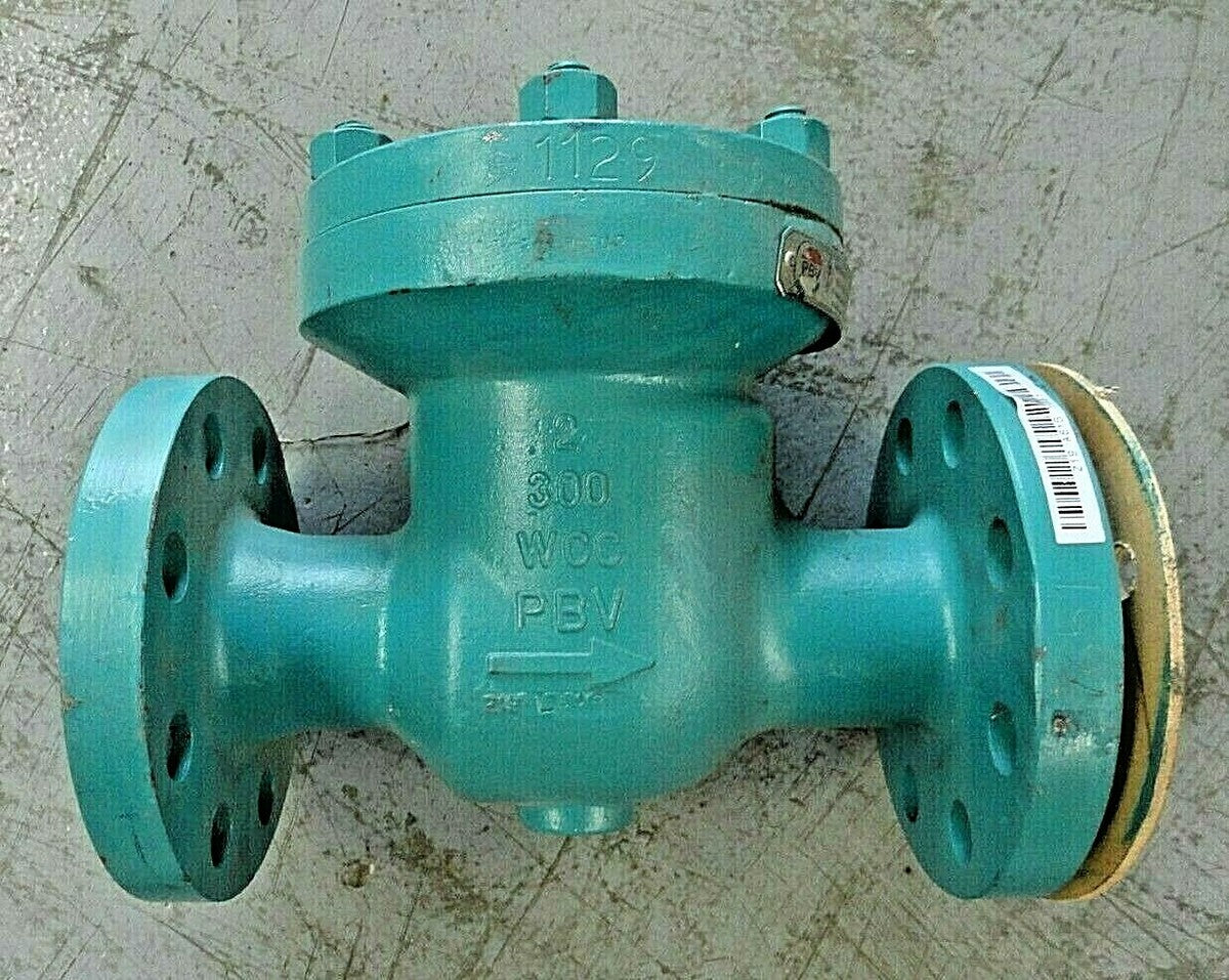 PBV Swing Check Valve 2" 300 RF Flanged Full Port PN: P830-11-2236-YY NACE w/MTR