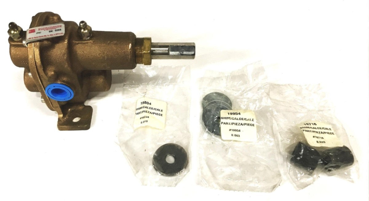 Dayton Electric Teel Rotary Pump 1P767 NOS