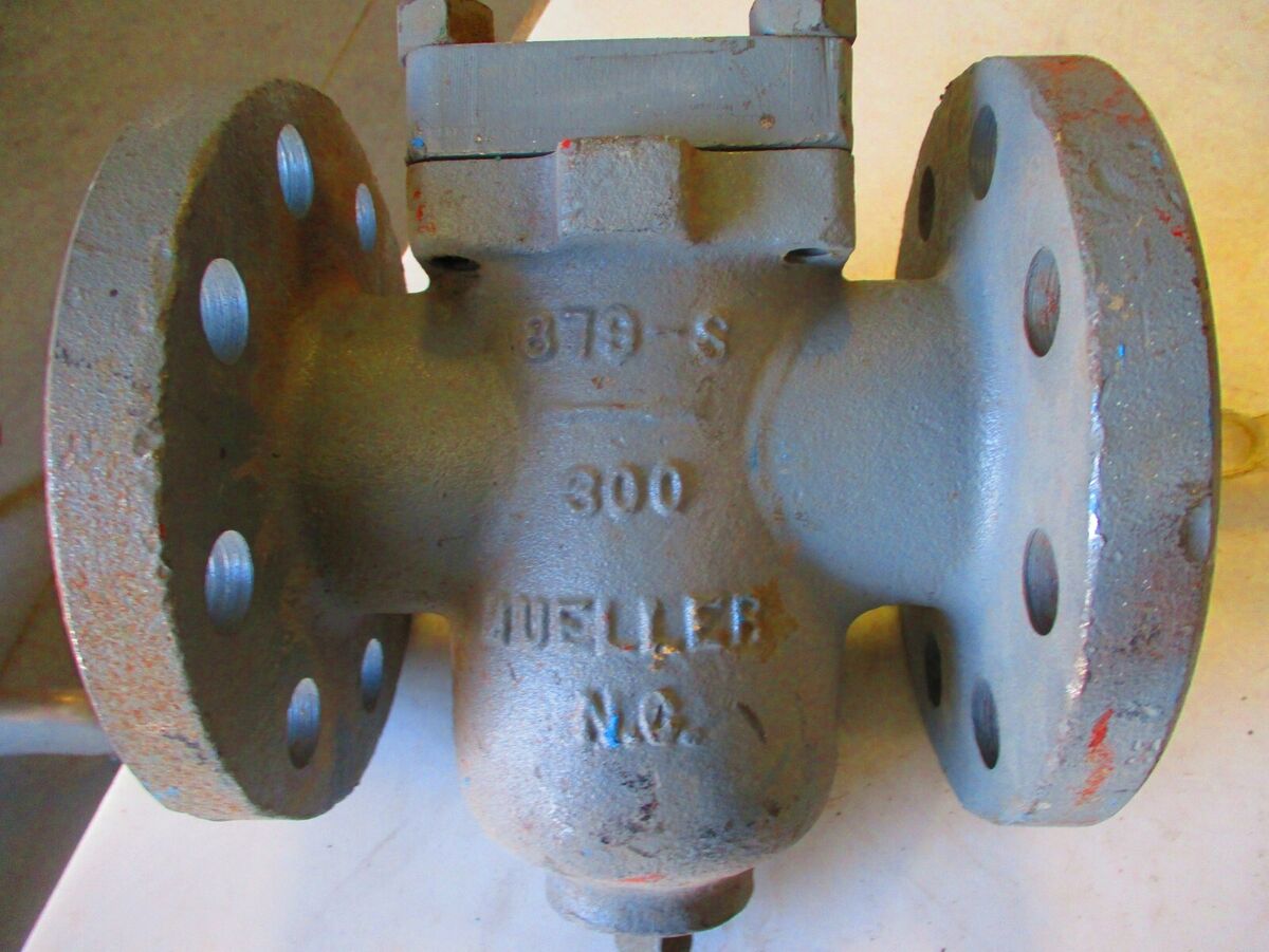 MUELLER Simplex Basket Strainer 2-1/2 in. Class 300 RF Flange End WCB Body  