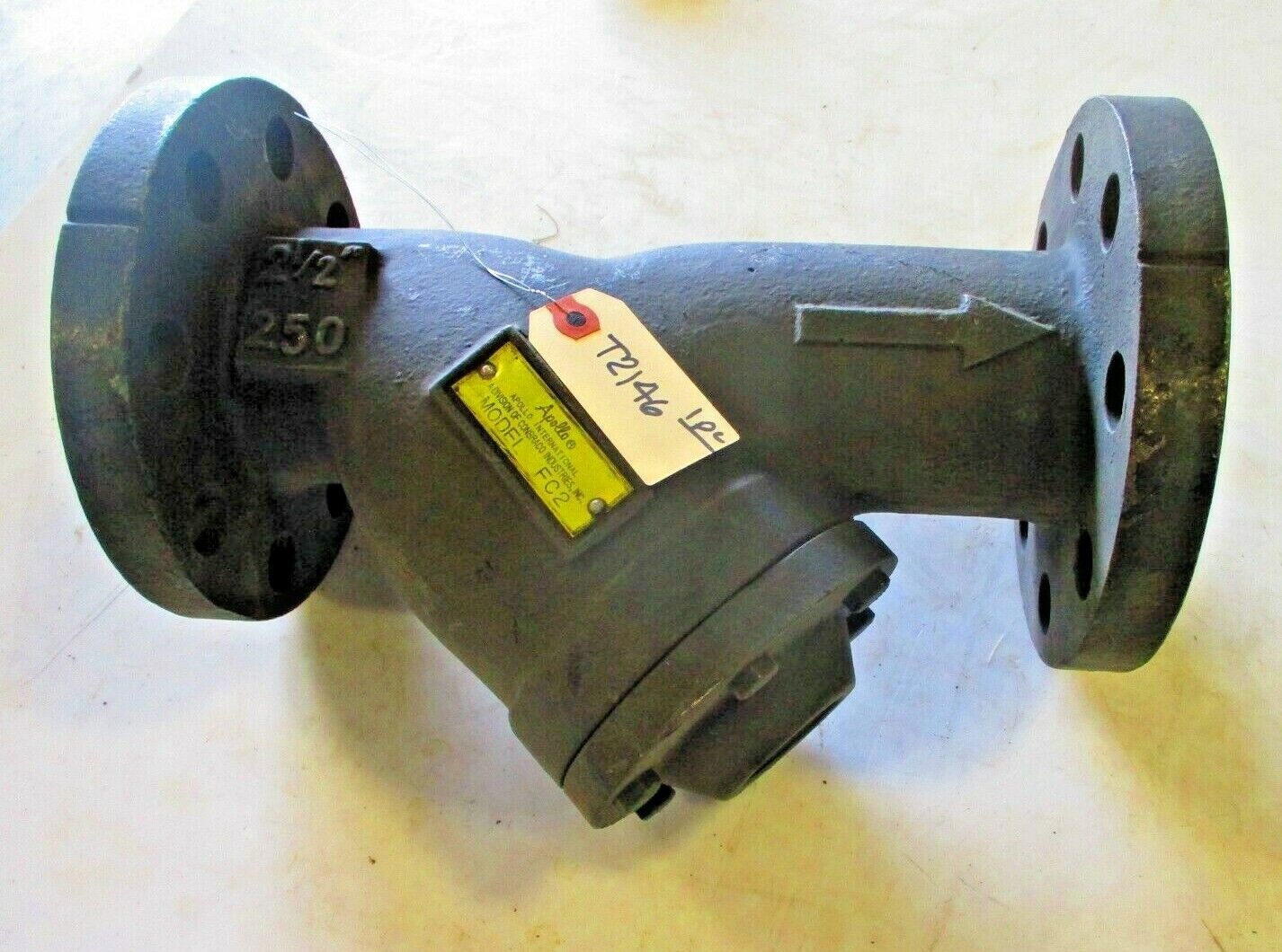APOLLO FC2 Wye / Y Strainer 2-1/2" CL 250 RF Flanged | Iron Body | SS Screen