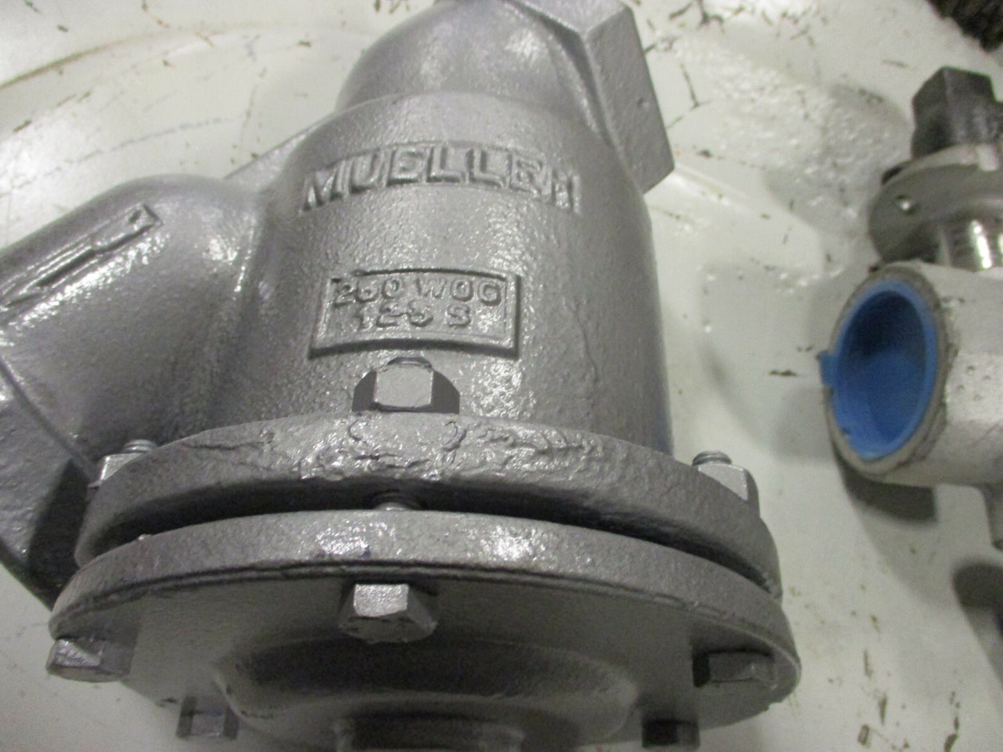 Mueller Wye Strainer 2-1/2" 250 SWP 400 WOG Threaded .062 Perforation SS Screen