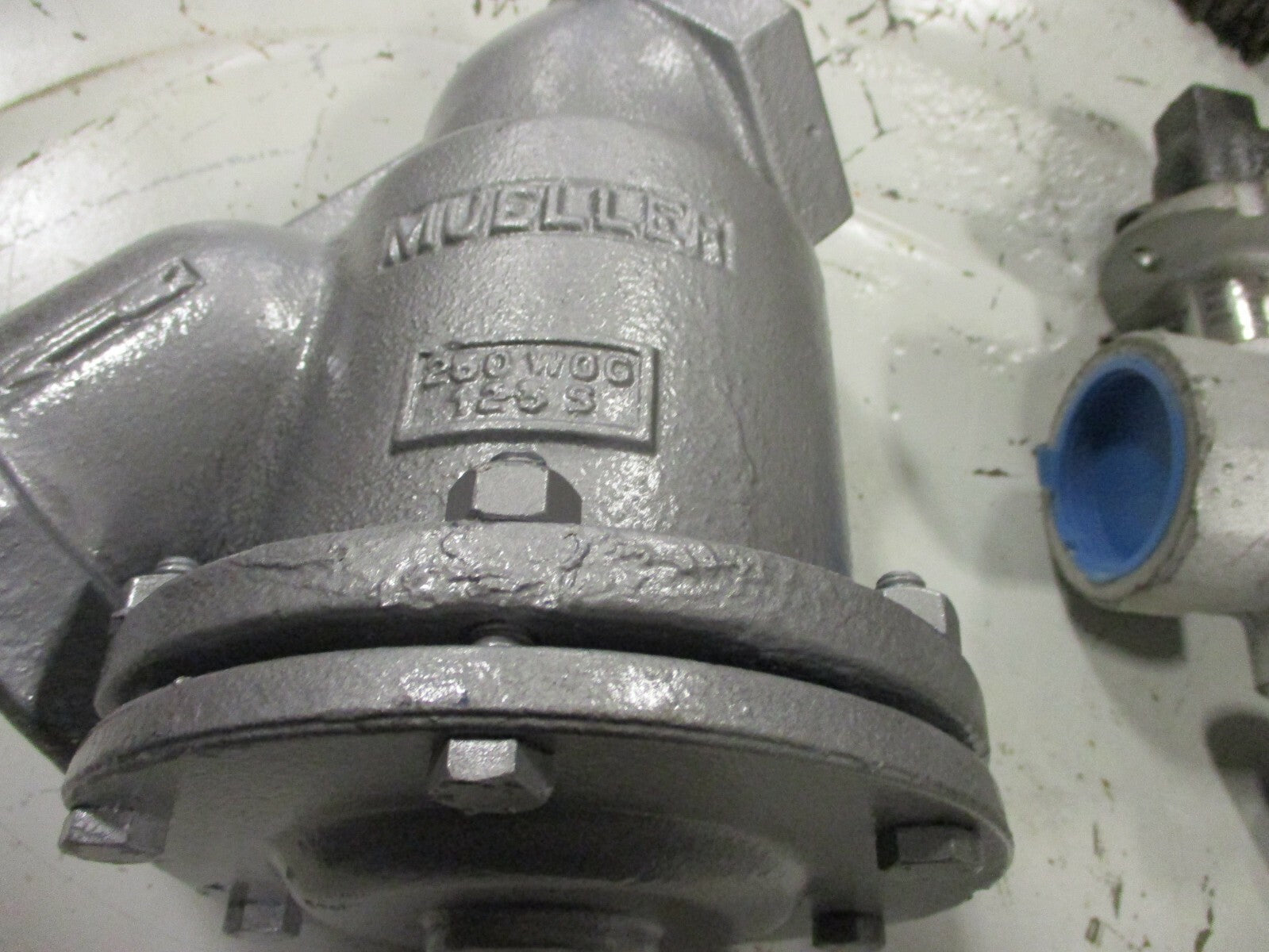 Mueller Wye Strainer 2-1/2" 250 SWP 400 WOG Threaded .062 Perforation SS Screen