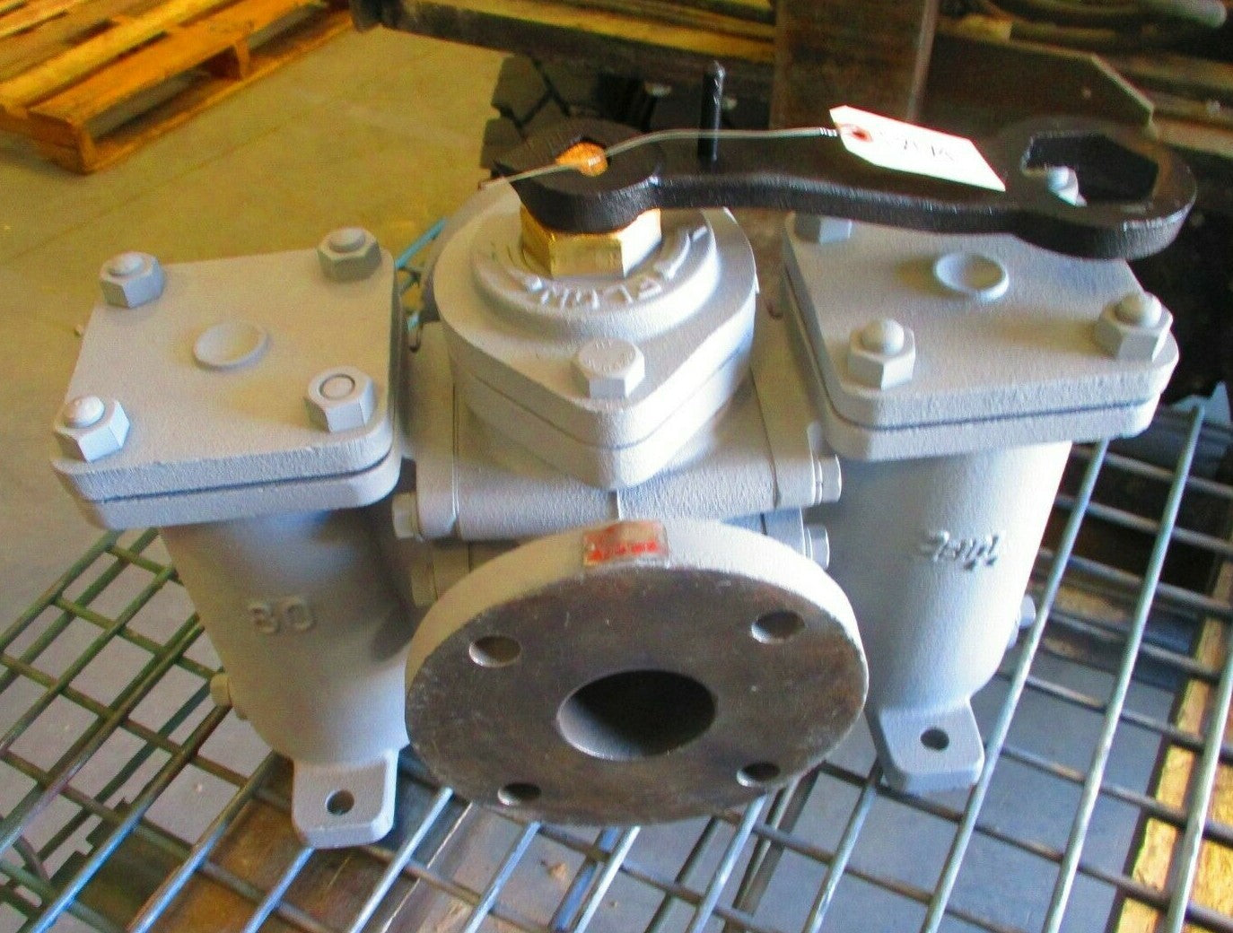 Duplex Basket Strainer 2-1/2" Class 125 / 150 FF Flanged End | Cast Iron Body 