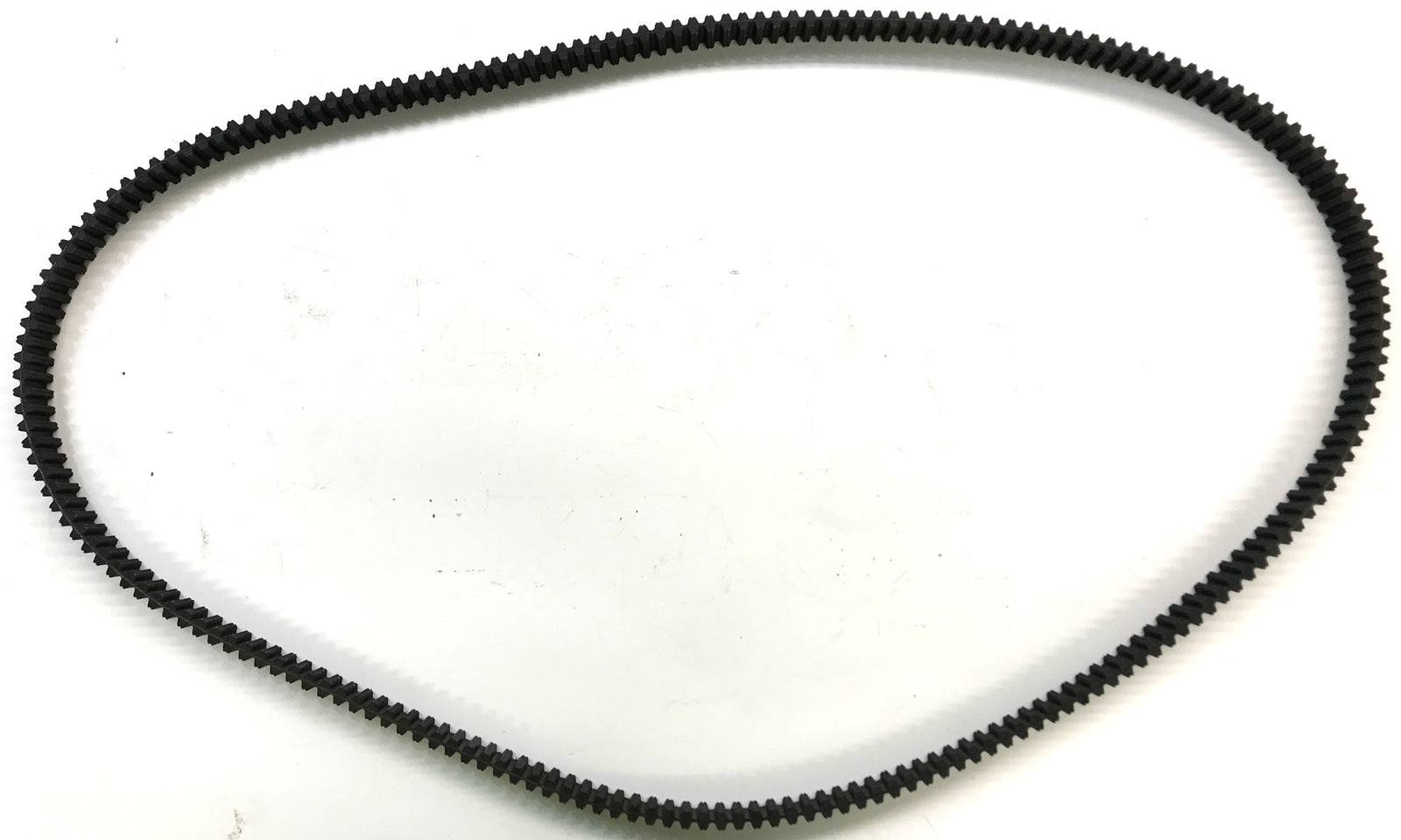 MEGADYNE Timing Belt 1600 RPP8 309 NOS