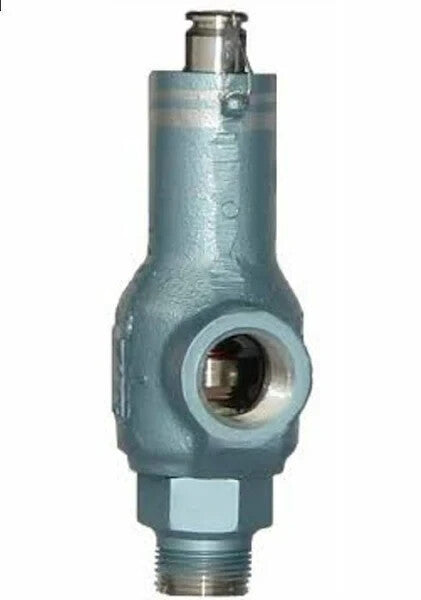 MERCER 81-17151V09G11T 8100 Series Relief Valve 1" NPT, Set Pressure 125 psi